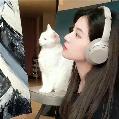 指挥官